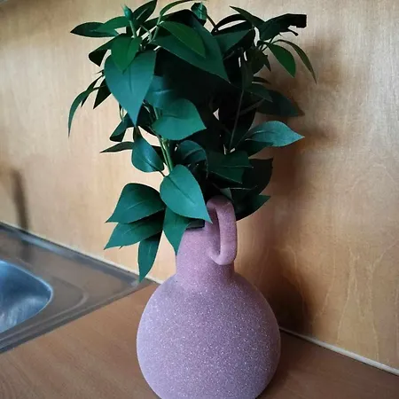 Matintalo * Ylivieska